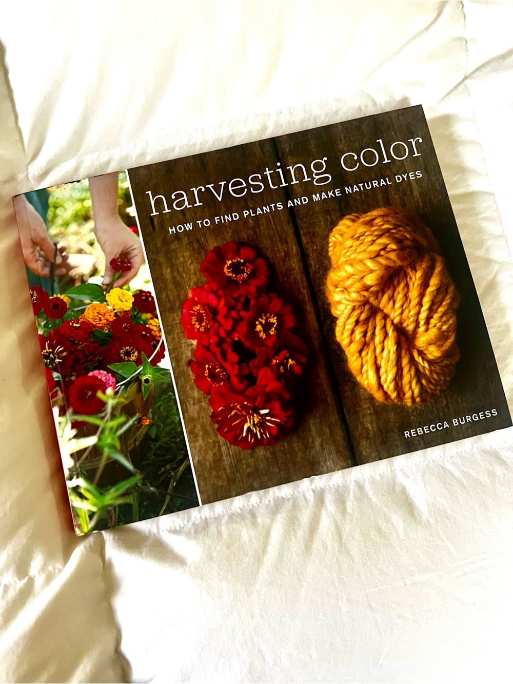 Harvesting Color by Rebecca Burgess • Natural Dyeing